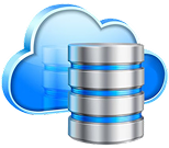 Custom, Dedicated server